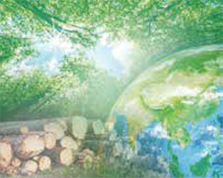 木材から作られる化学製品