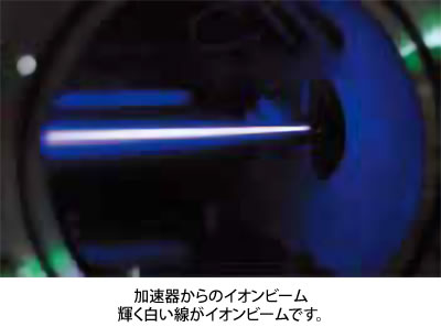 放射線で見る